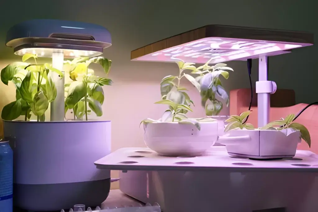 algae control in hydroponics with lighting